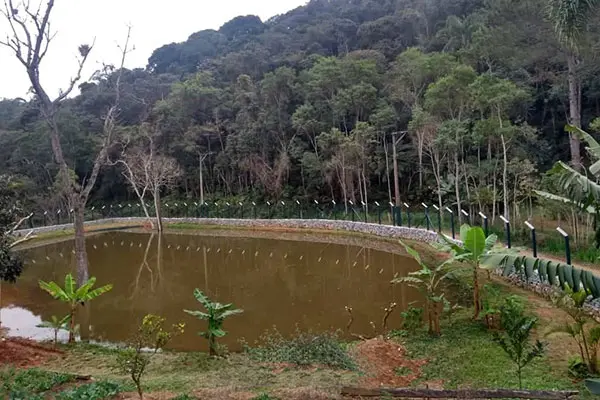 Tela de Alambrado em Pesqueiro